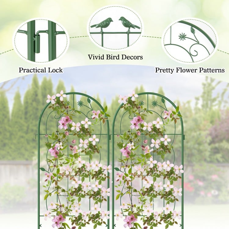 2 Pack 71 x 20 Inch Metal Garden Trellis Rustproof Plant Support for Climbing Plants-Green