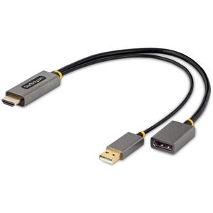 HDMI to DisplayPort Adapter 