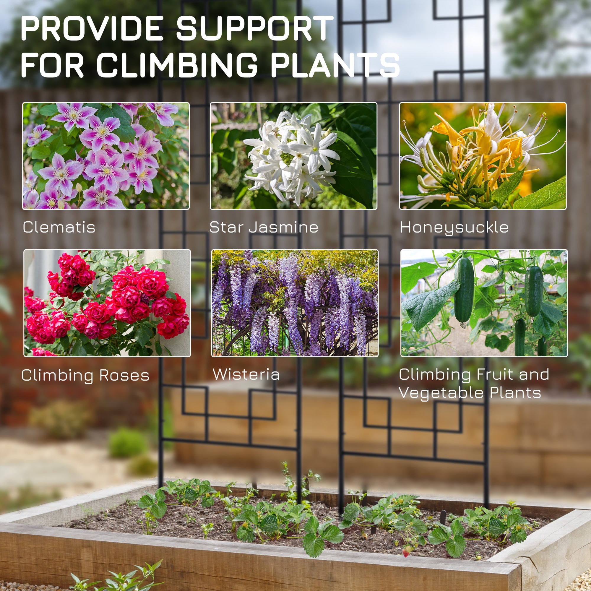 Outsunny 2 Pack Garden Trellis for Climbing Plants, Outdoor Metal Grid Panels for Roses, Vine Flower, Cucumber, Clematis, 72" Tall 