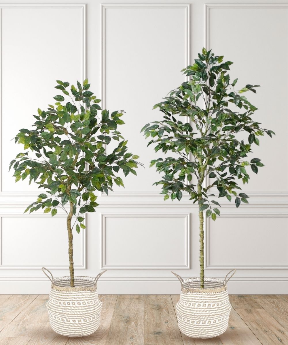 Figgi Artificial Ficus Tree Potted Plant (Multiple Sizes) 