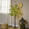 HOMCOM 6FT LED Olive Tree with 300 Warm White Lights, Artificial Light Up Tree for Home, Wedding, Party & Christmas Decor, Green
