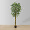 Benja Artificial Ficus Tree Potted Plant 6’ | Realistic Silk Leaves & Handcrafted Stems