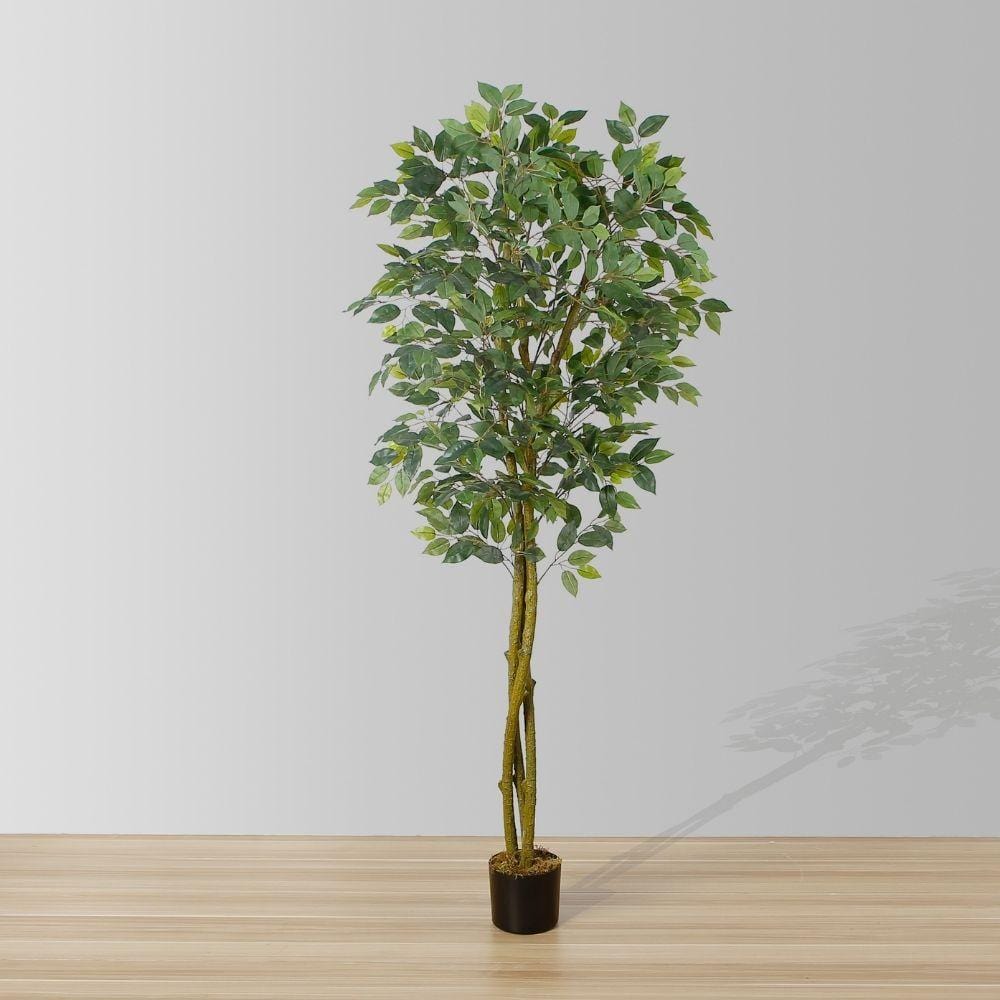 Benja Artificial Ficus Tree Potted Plant 6’ 