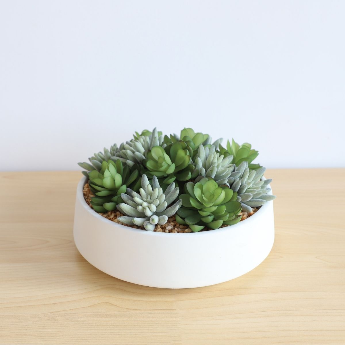 Eva Artificial Succulent Arrangement in Low White Pot 