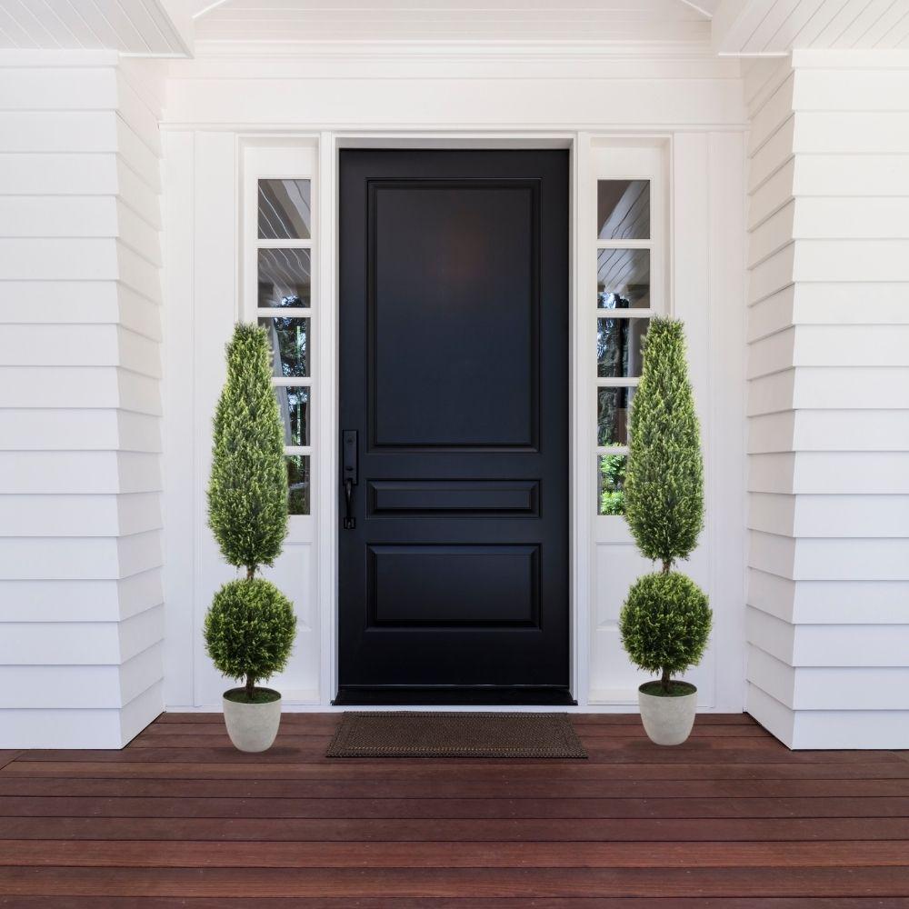 Jacob Potted Boxwood Topiary Plant (Multiple Sizes) 