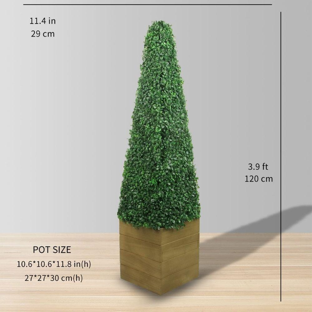 Mayer Potted Boxwood Topiary Plant (Multiple Sizes) 