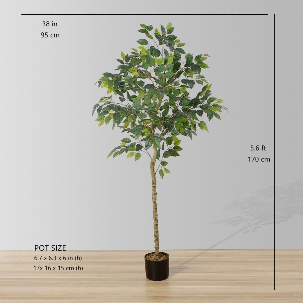 Figgi Artificial Ficus Tree Potted Plant (Multiple Sizes) 