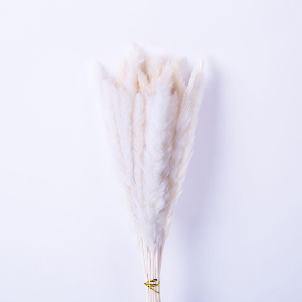 Beige Pampas Bouquet 26'' (Set Of 30) 