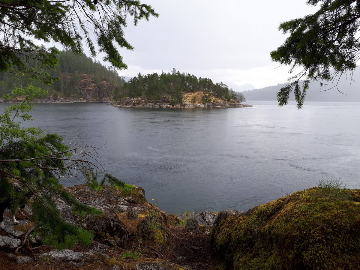 233 Discovery Islands South Kayaking and Boating Map 