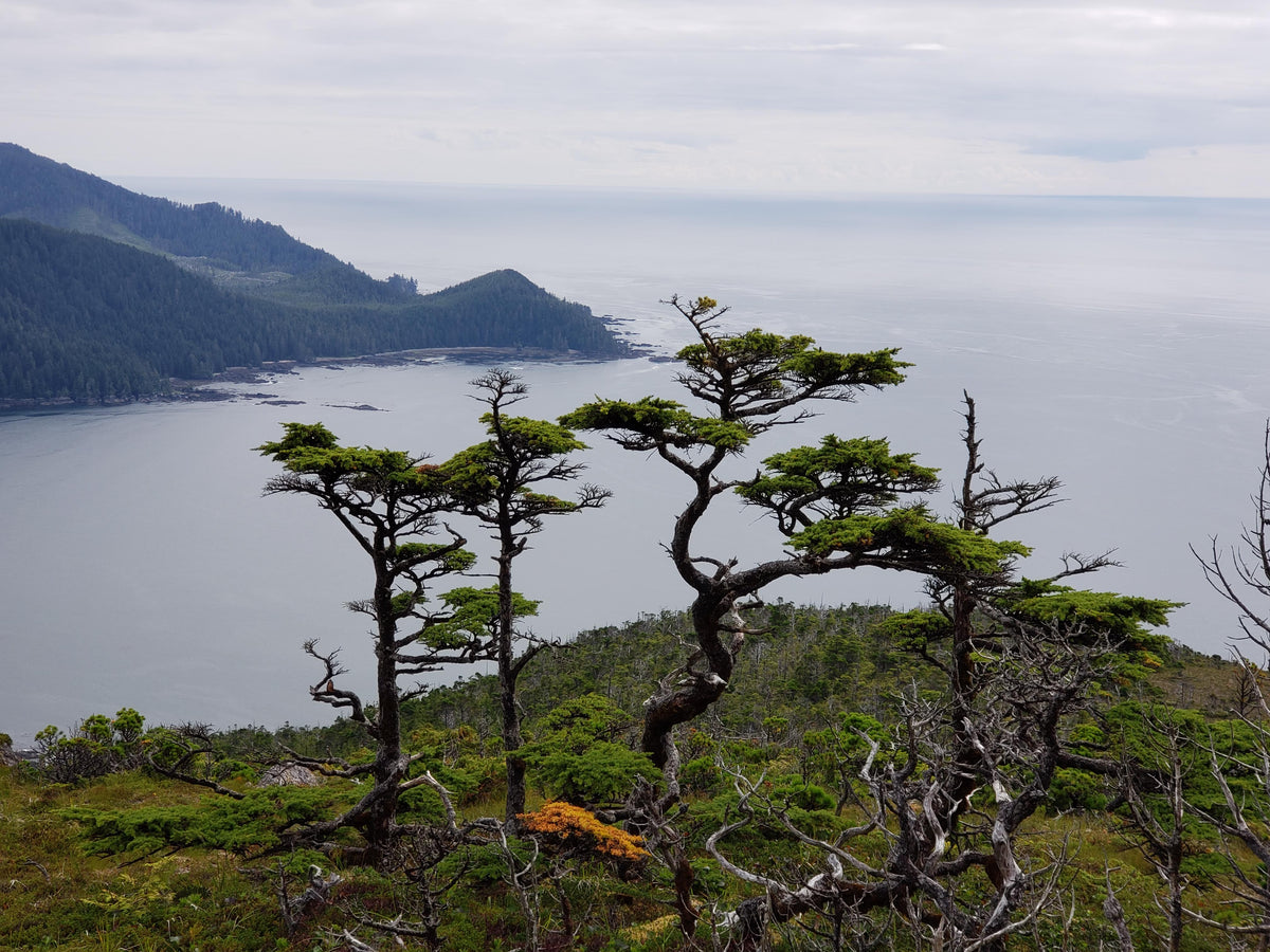 244 North Vancouver Island Kayaking and Boating Map 