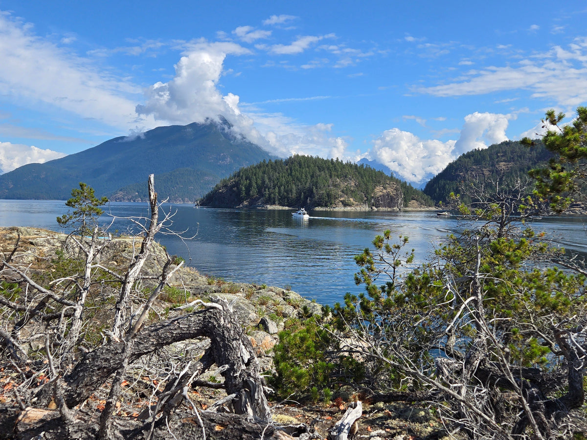504 Desolation/Johnstone Inside Passage Chart Assistant 