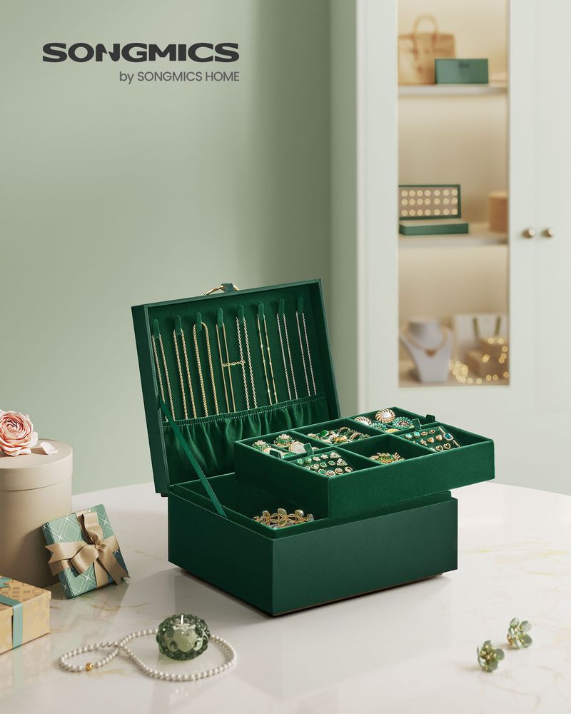 SONGMICS 2-Layer Jewelry Box with Handle and Removable Jewelry Tray 