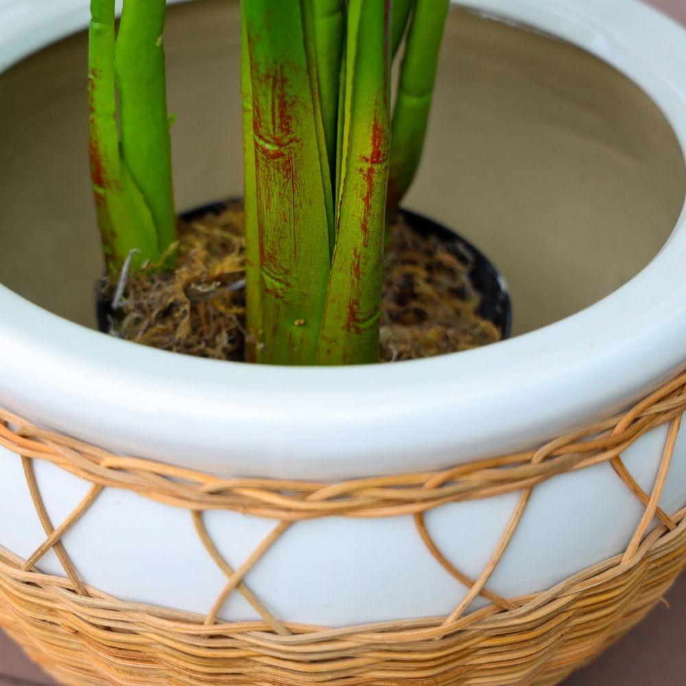 Pura Ceramic Planter 12'' 