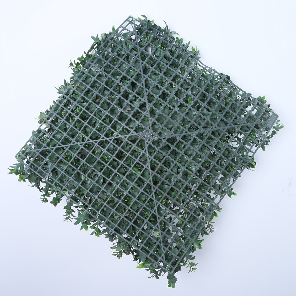 Barcelona (box of 12) 