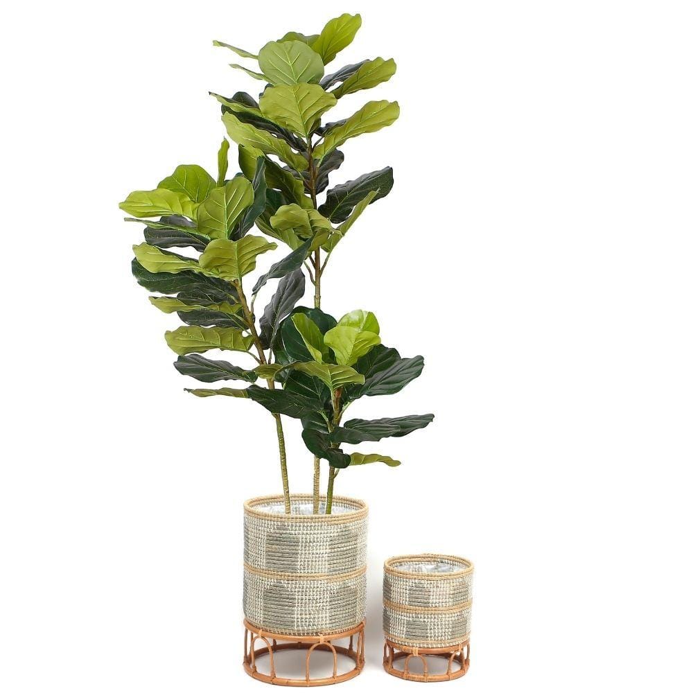 Masina - Seagrass Floor Planter & Rattan Stand 