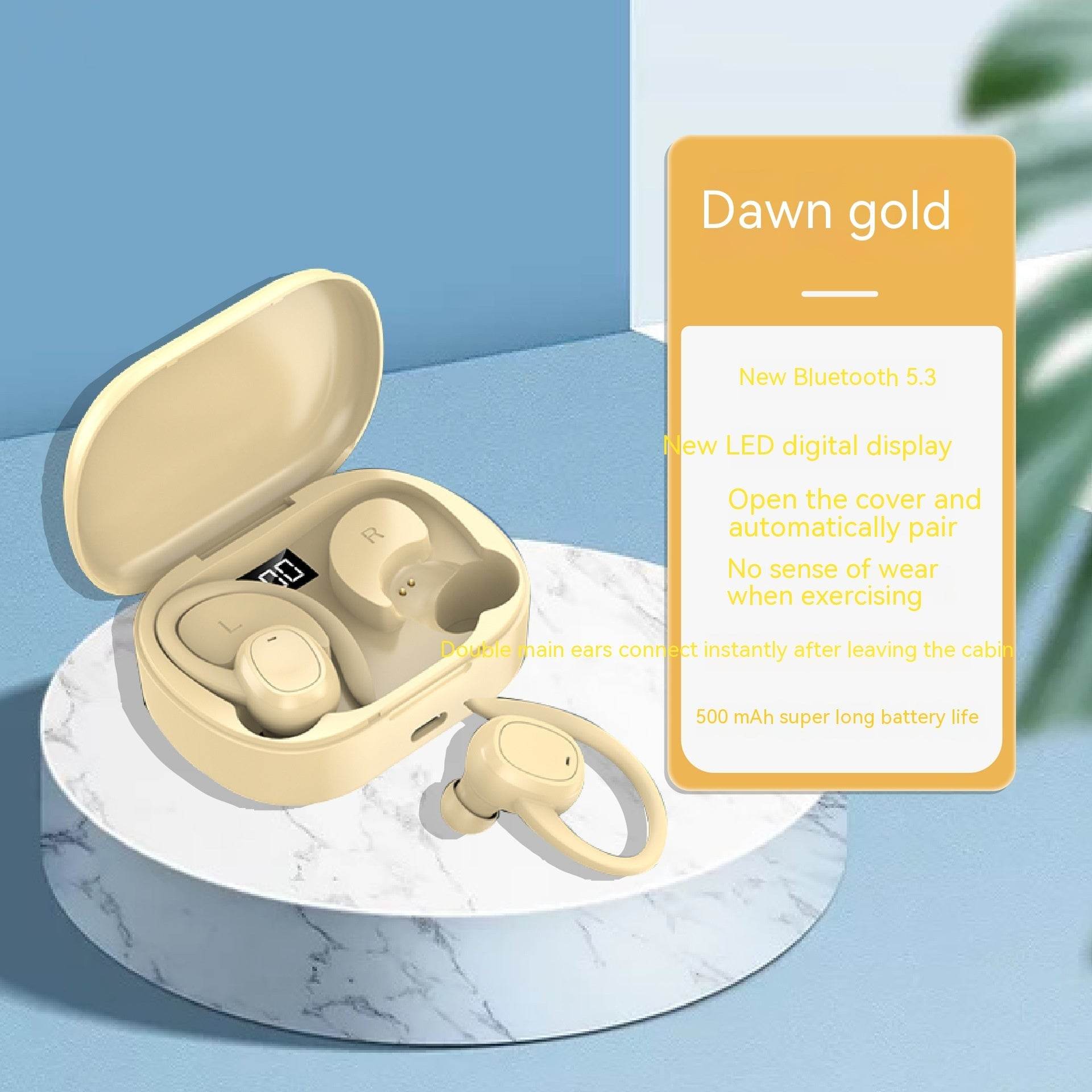 Wireless Sports Ear Hook Earphones 