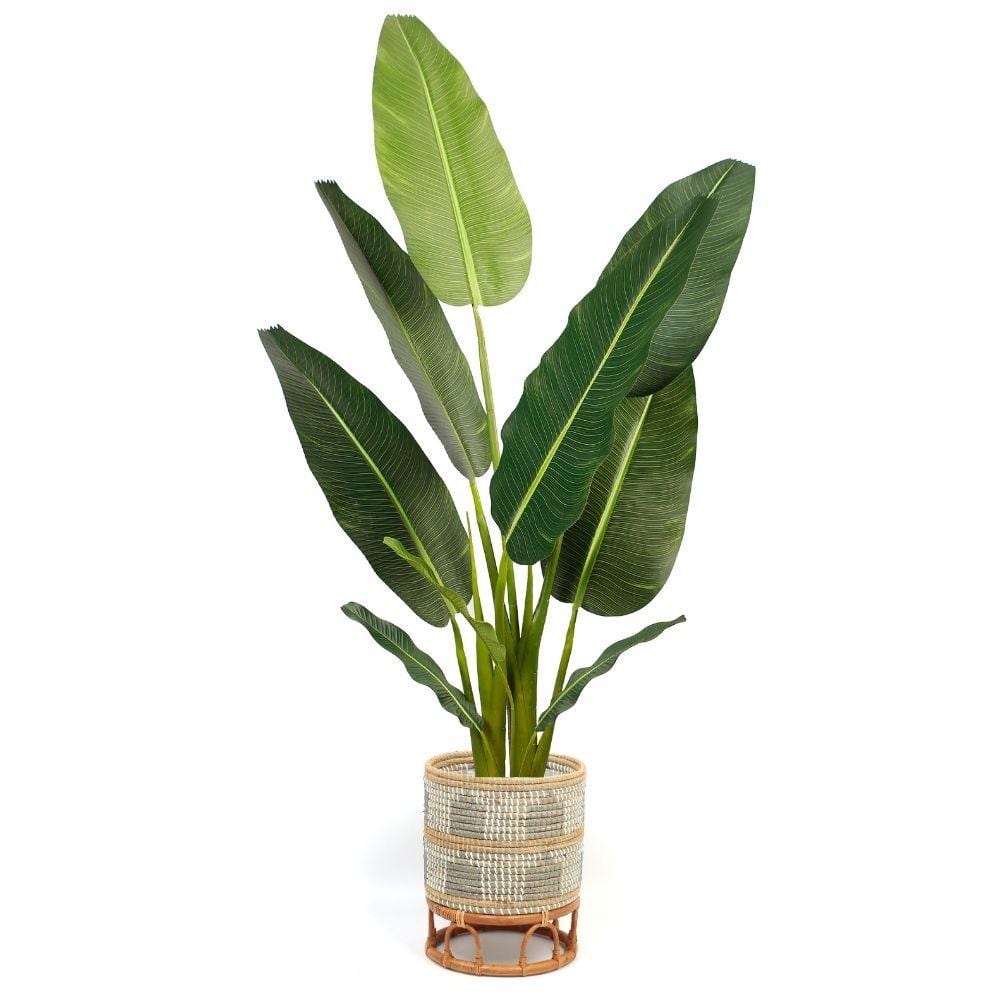 Masina - Seagrass Floor Planter & Rattan Stand 