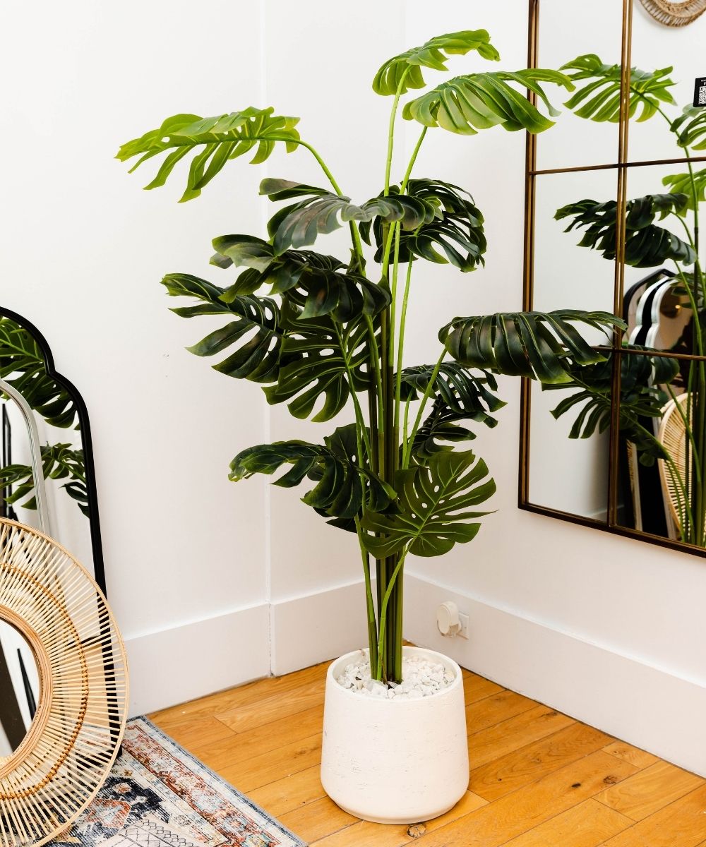 Rita Artificial Monstera Potted Plant (Multiple Sizes) 