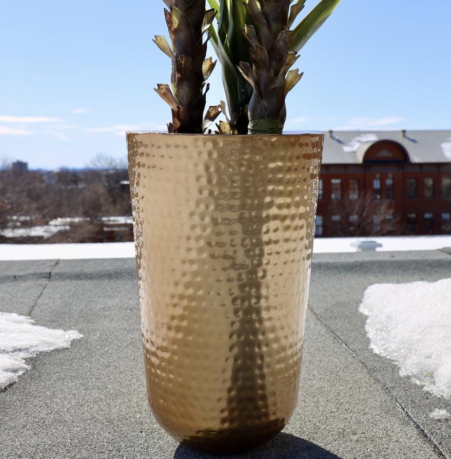 Davi - Brass Planter (Multiple Sizes) 