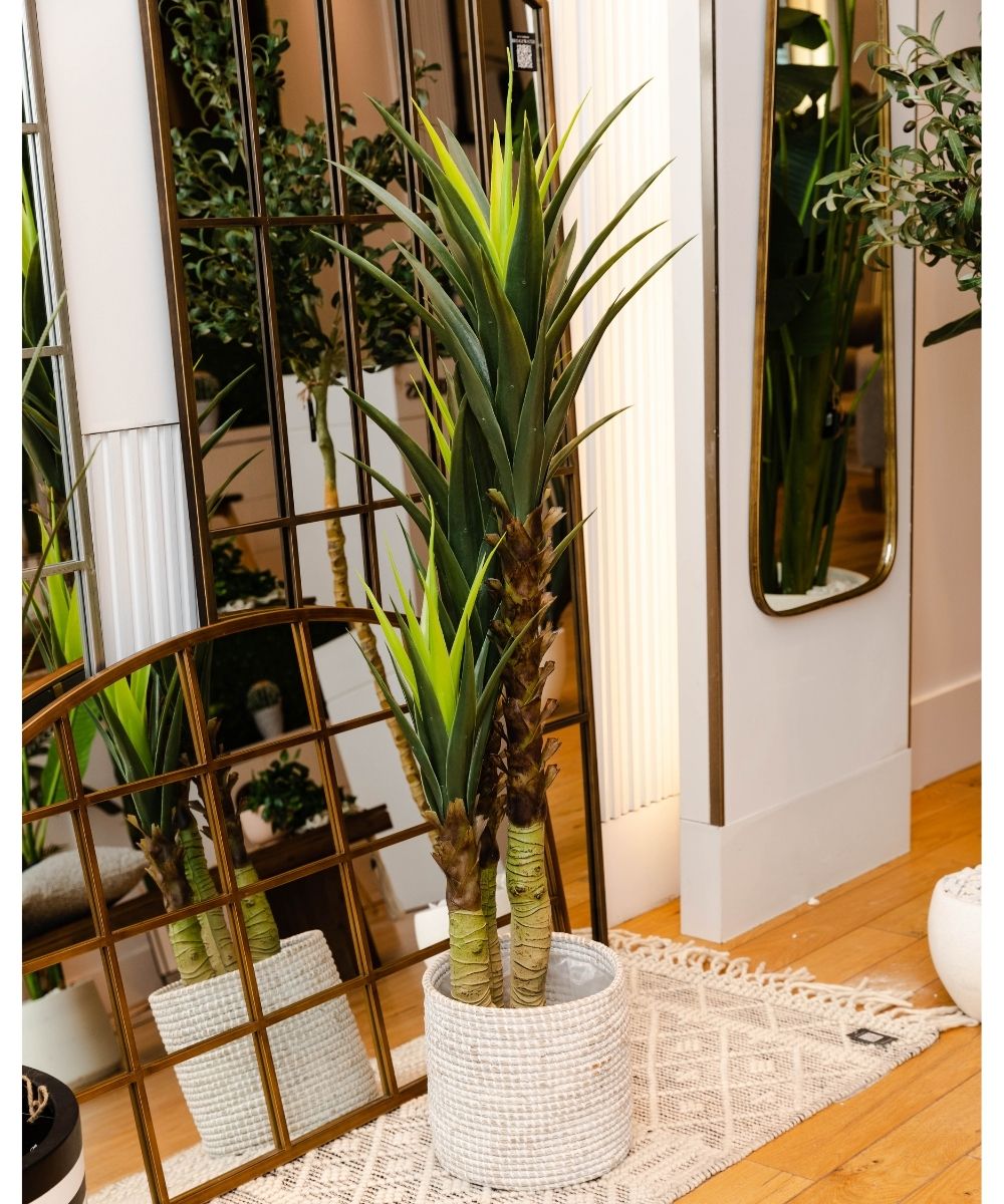 Oca Artificial Century Potted Plant 63'' 