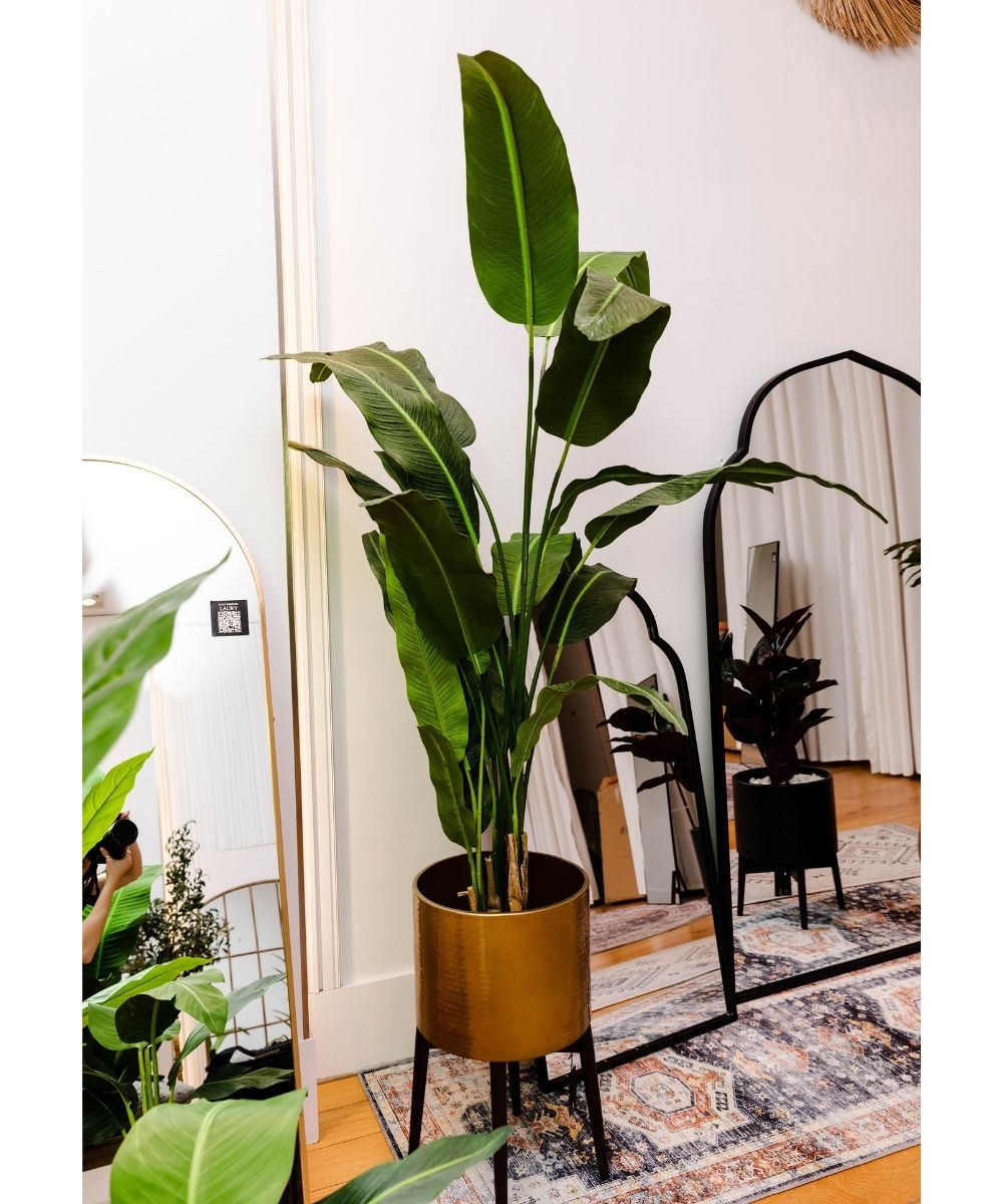 Kola Artificial Travellers Palm Tree Potted Plant (Multiple Sizes) 