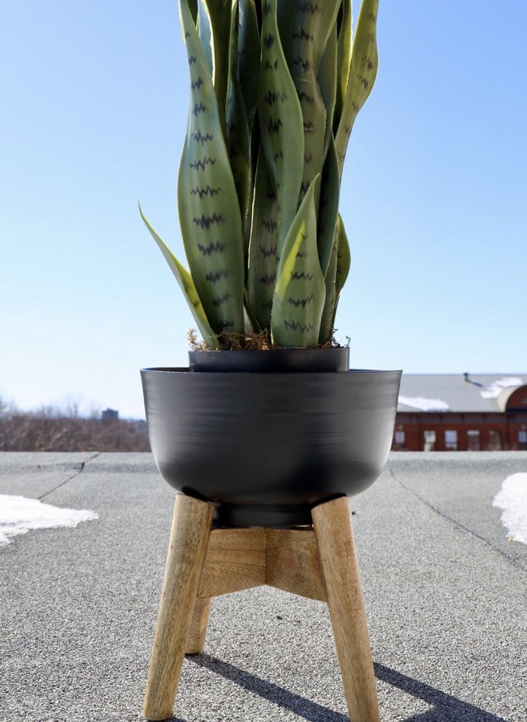 Coyo - Brass Turned Wood Leg Planter Black (Multiple Sizes) 
