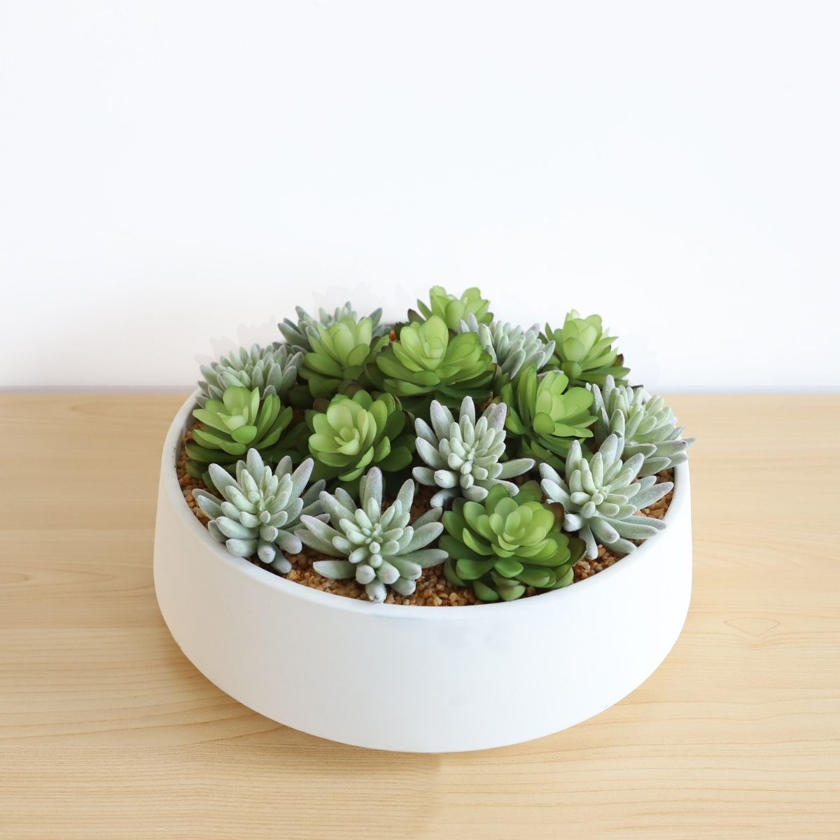 Eva Artificial Succulent Arrangement in Low White Pot 