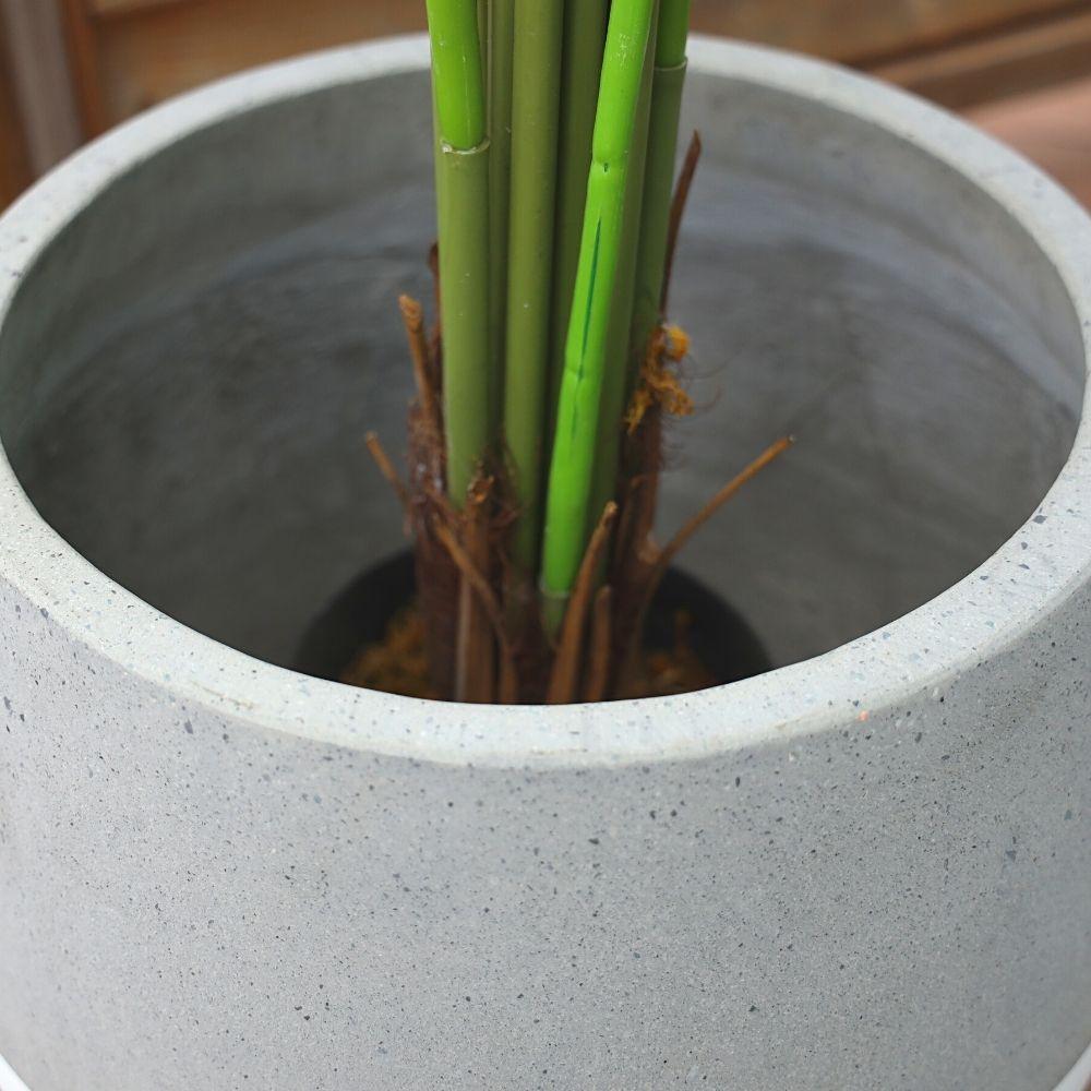 Zamora Cement Planter (Multiple Sizes) 