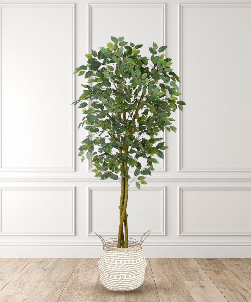 Benja Artificial Ficus Tree Potted Plant 6’ 