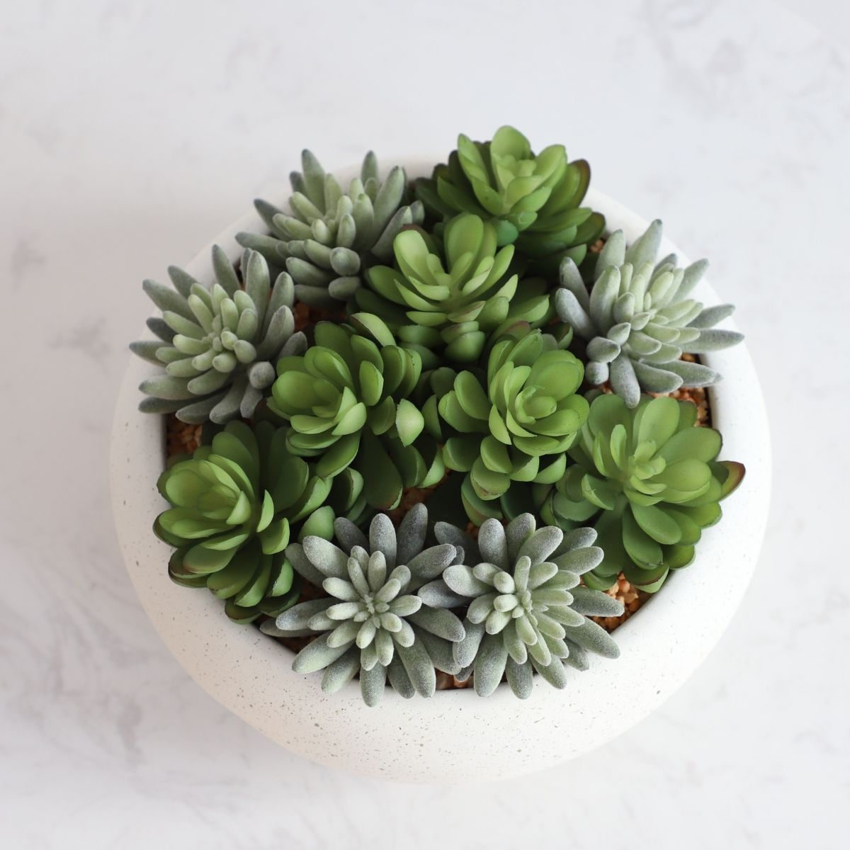Zed Faux Succulent Arrangement in Low White Pot 7.1" 