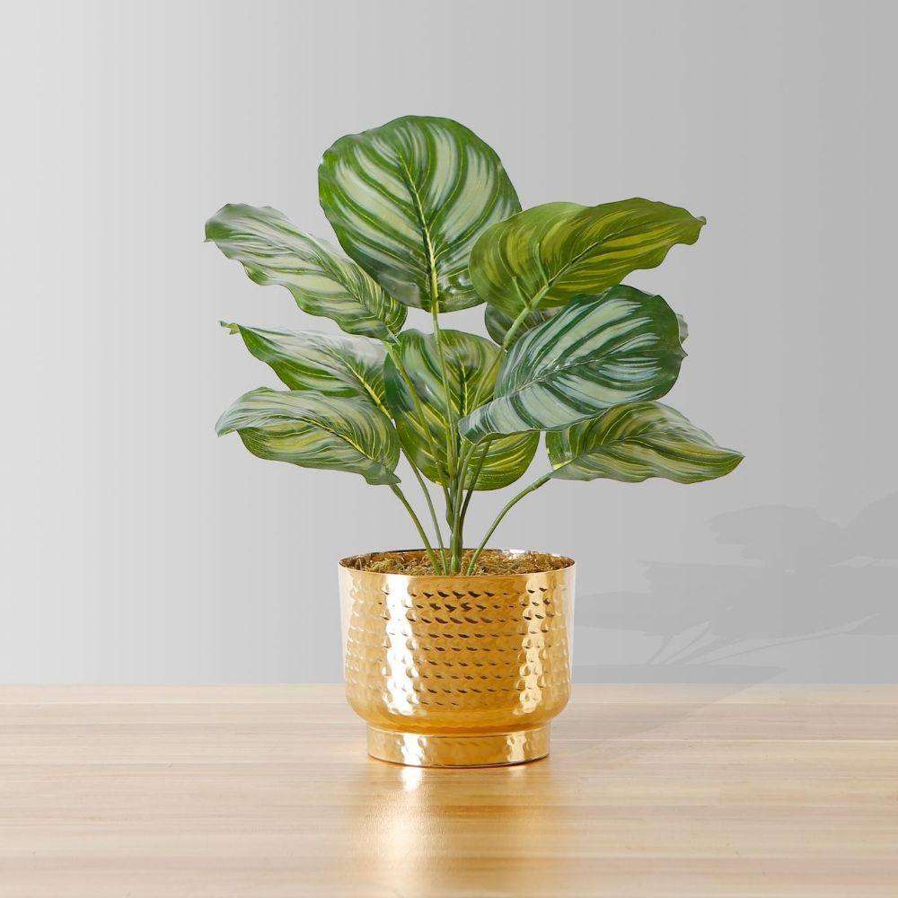 Calathea Faux Potted Plant 