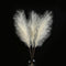 Artificial Pampas Grass Arrangement Taupe | Farmhouse Bouquet, 32–47 inches, Rustic Décor