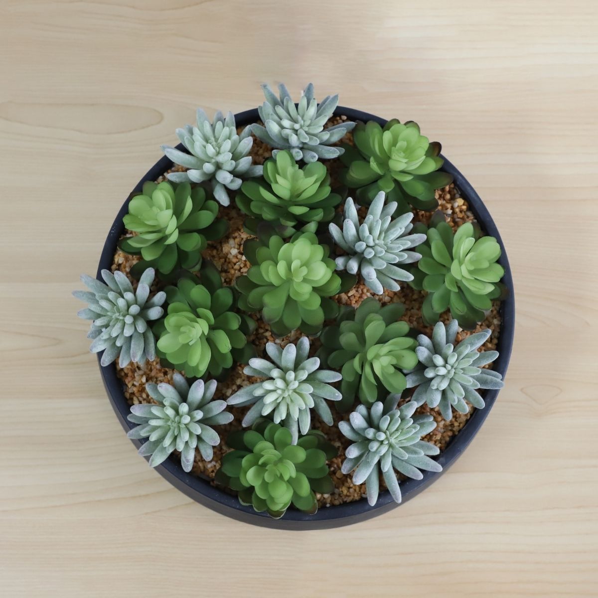Kae Artificial Succulent Arrangement in Low Black Pot 