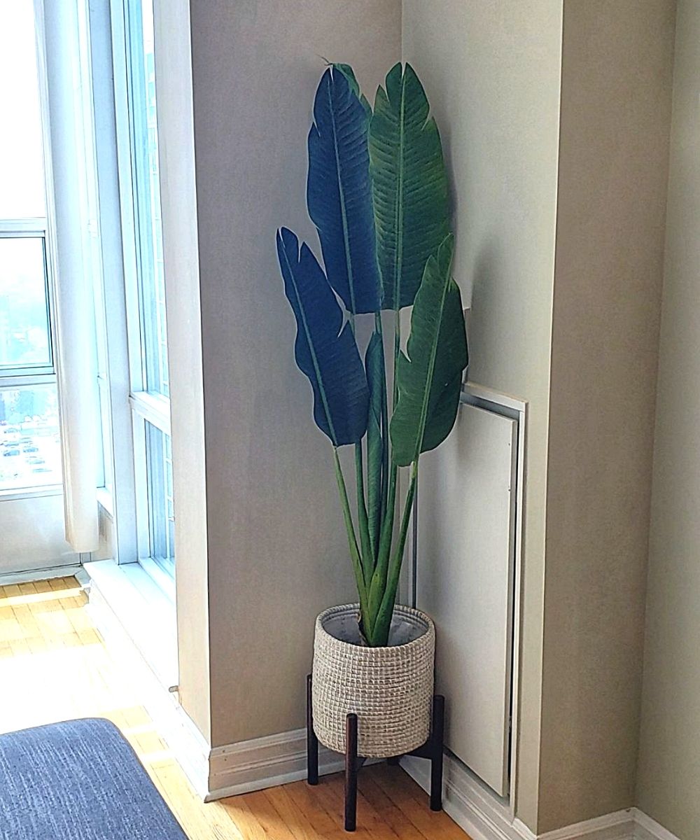 Diosa - White Seagrass Planter 
