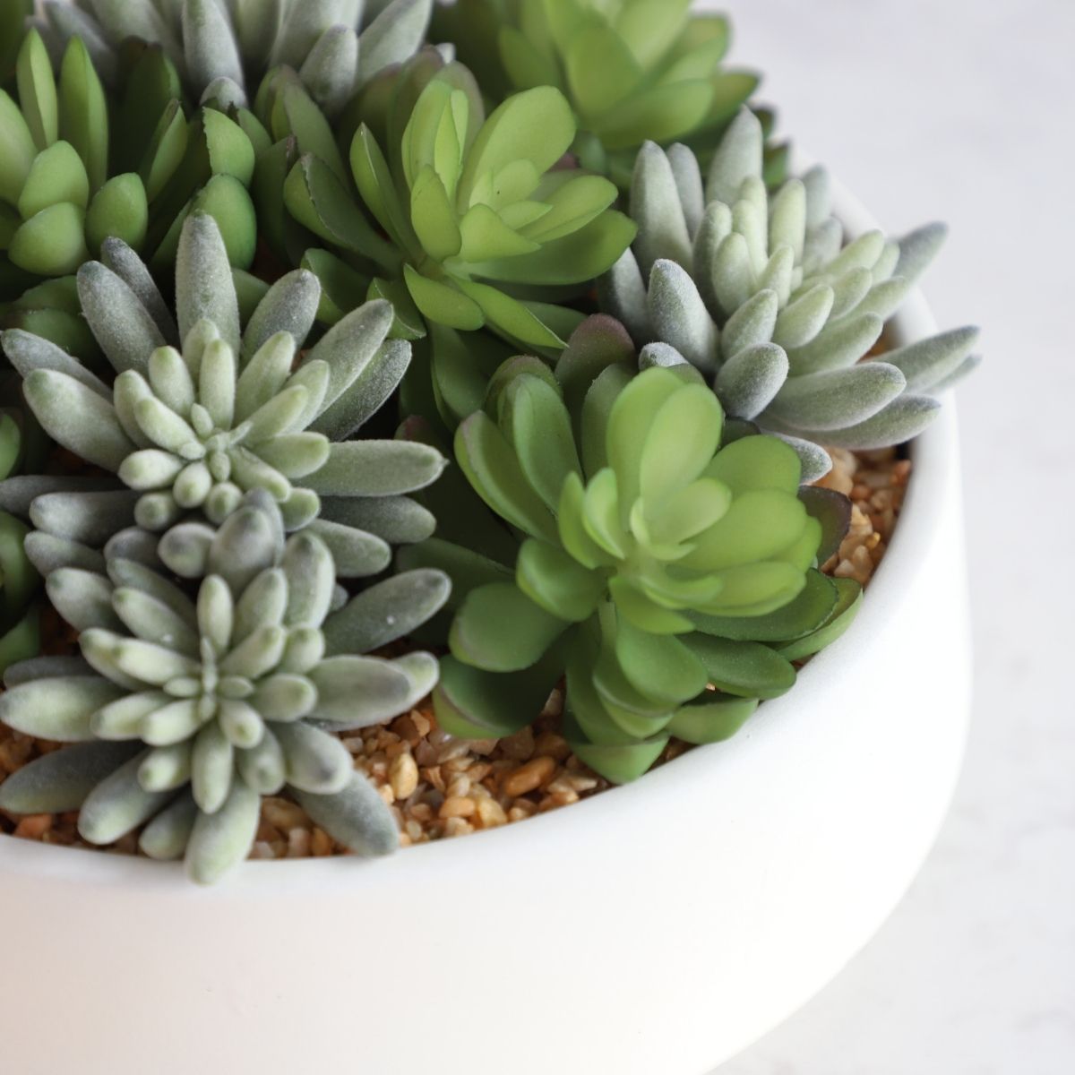 Eva Artificial Succulent Arrangement in Low White Pot 