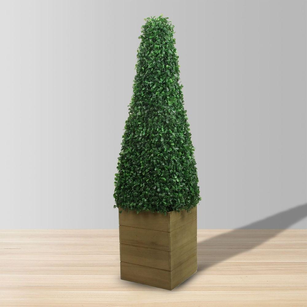 Mayer Potted Boxwood Topiary Plant (Multiple Sizes) 