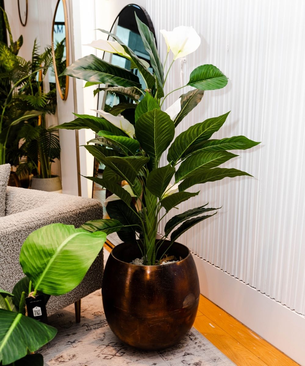 Belen Artificial Anthurium Leaf Potted Plant (Multiple Sizes) 