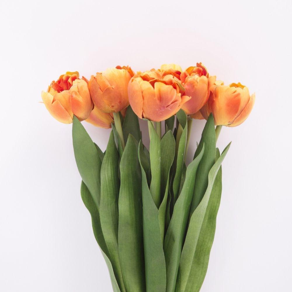 Arleta Artificial Orange Tulip Bouquet 23''X 8'' (Set Of 8) 
