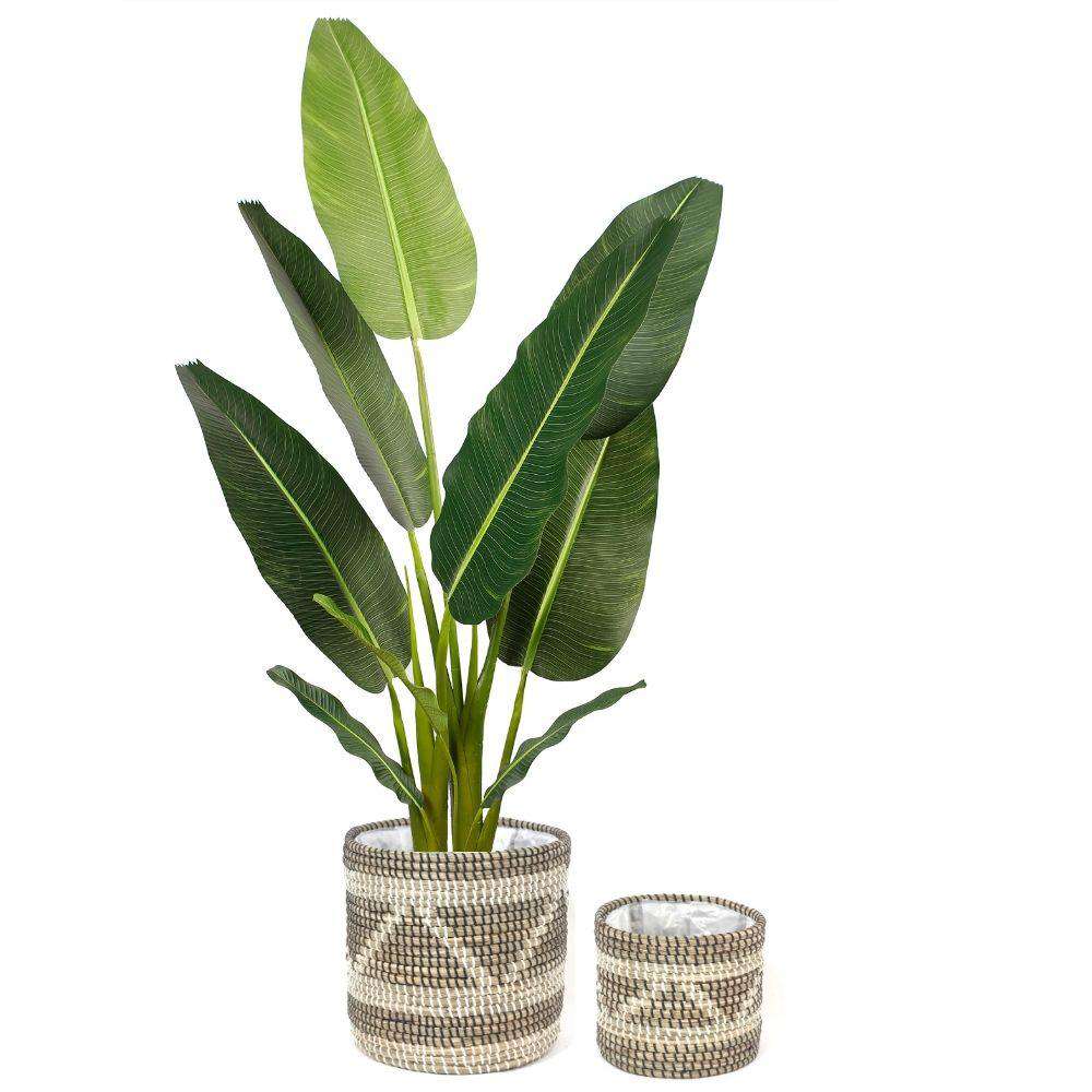 Cobra - Seagrass Planter 