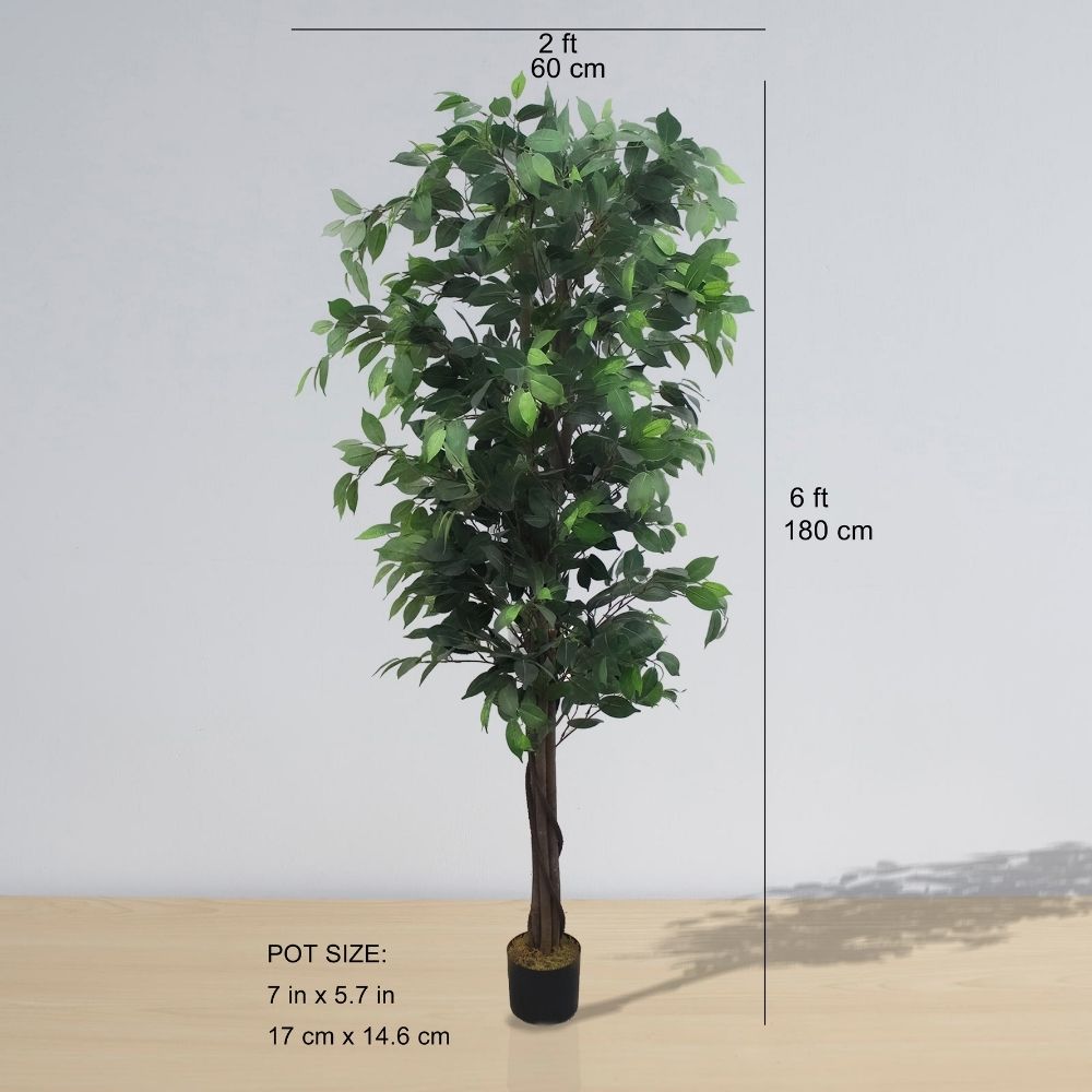 Tarso Artificial Ficus Potted Plant 6' 
