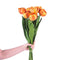 Arleta Artificial Orange Tulip Bouquet 23'' x 8'' | Set of 8, Realistic Faux Flowers, Indoor Décor