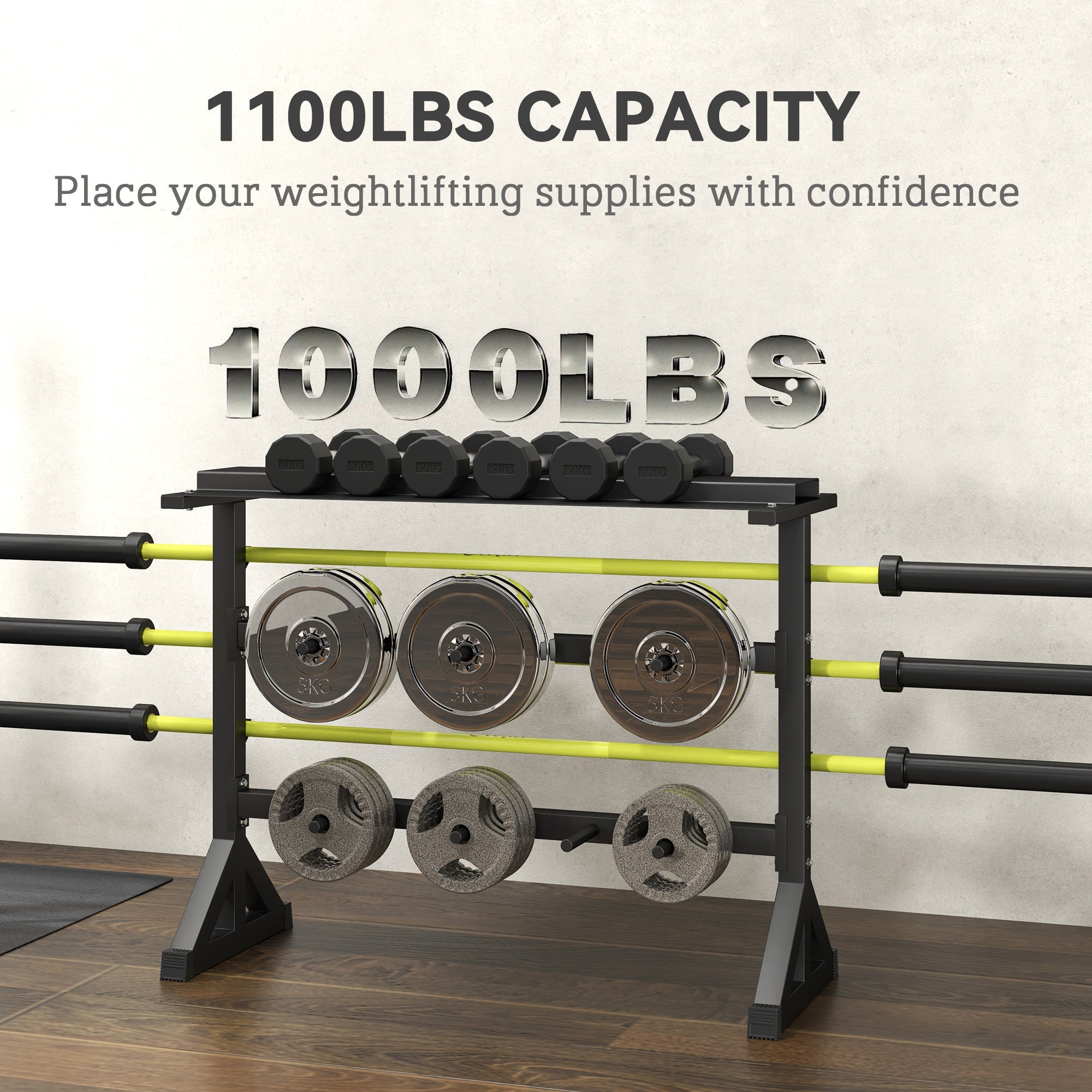 Soozier 1100LBS Capacity Weight Rack, Weight Plate Rack, and Dumbbell Rack for Home Gym Storage 