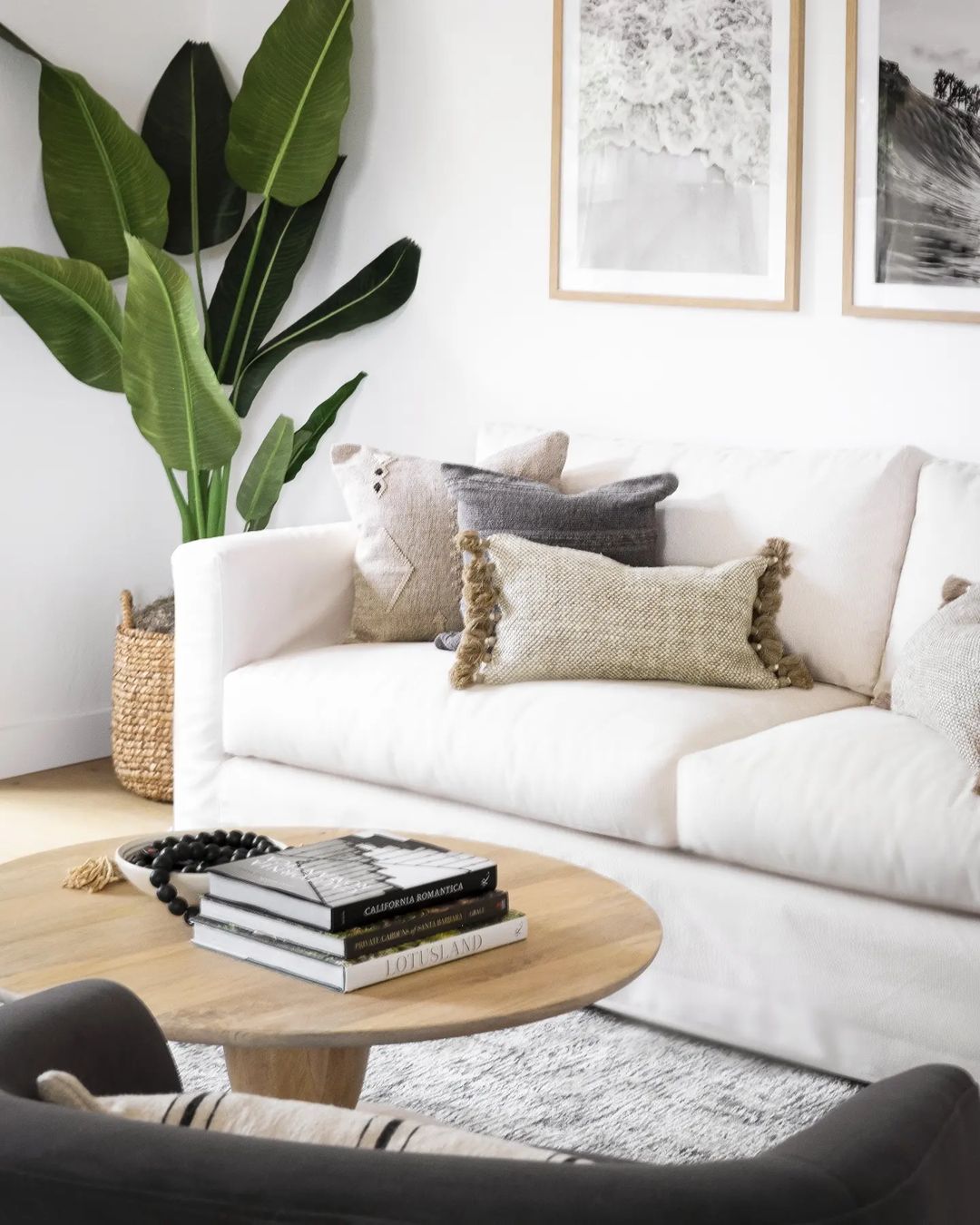 Dani Artificial Travellers Palm Tree Potted Plant (Multiple Sizes) 