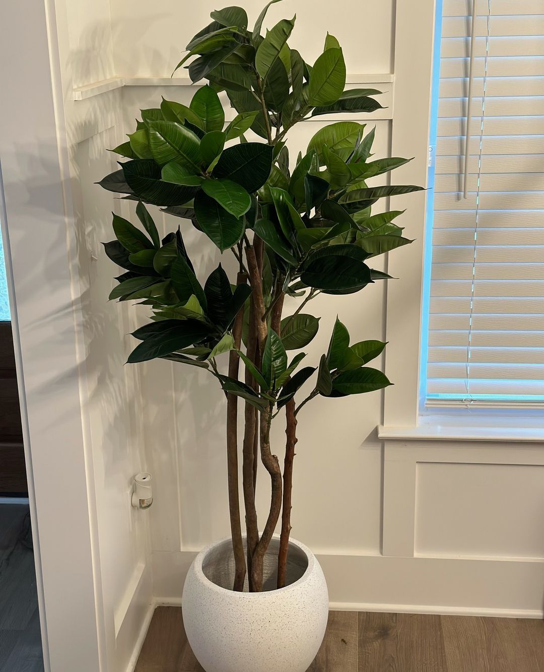 Encanto Artificial Rubber Potted Plant (Multiple Sizes) 