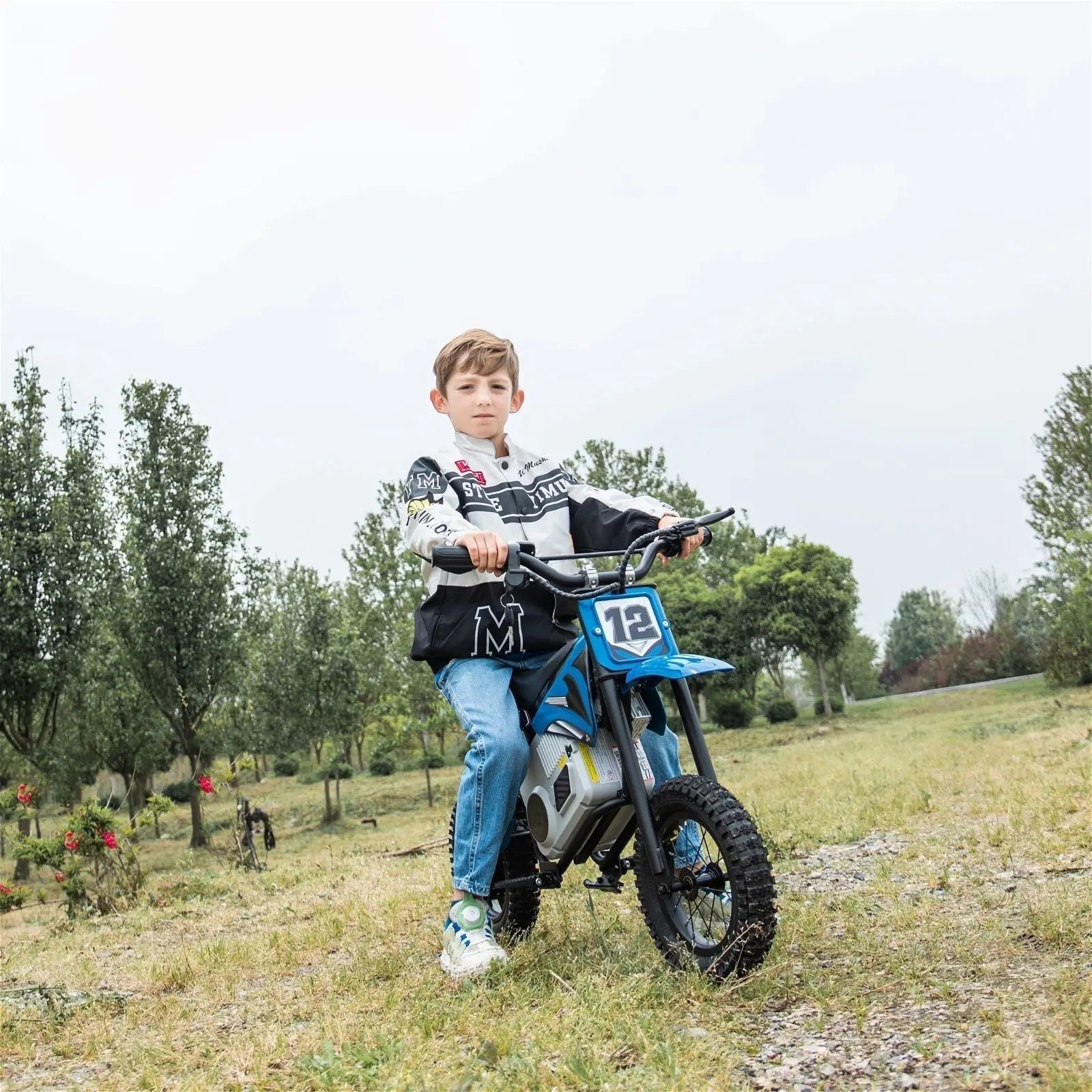 36V Freddo Electric Dirt Bike for Teens 