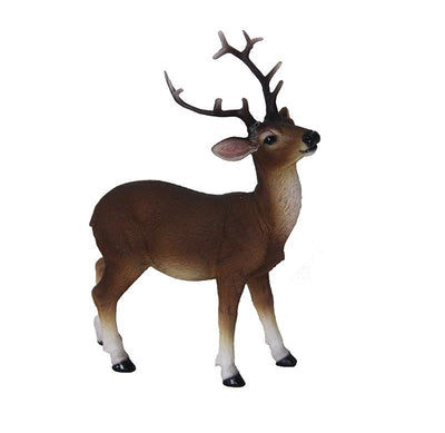 Red Deer S 