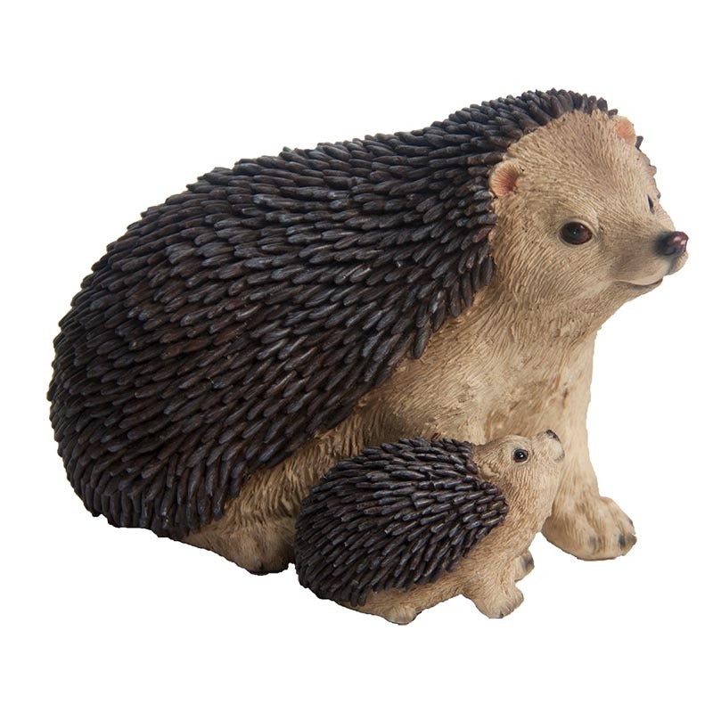 Hedgehog With Baby 