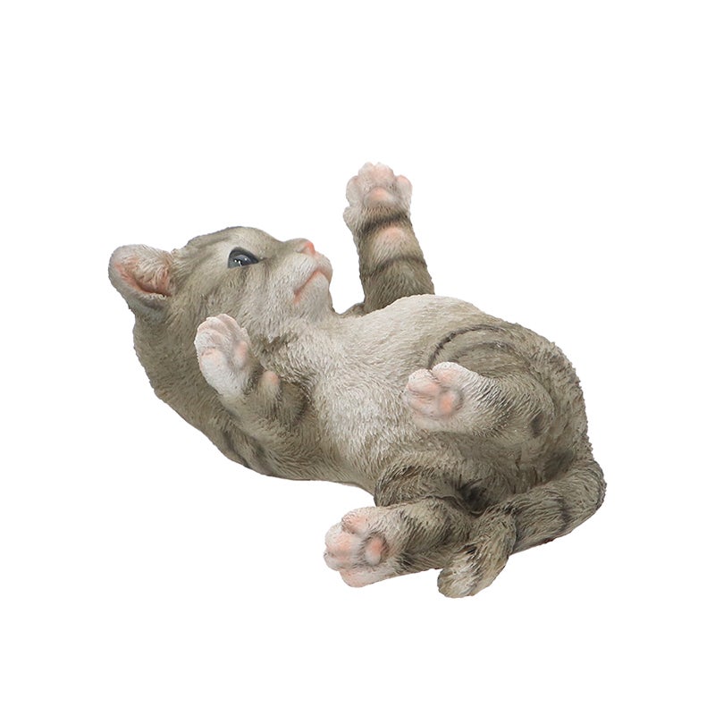 Lying Playing Cat 