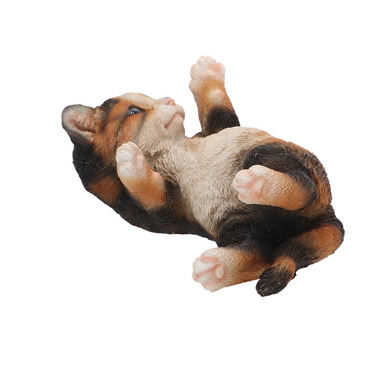 Lying Playing Cat 