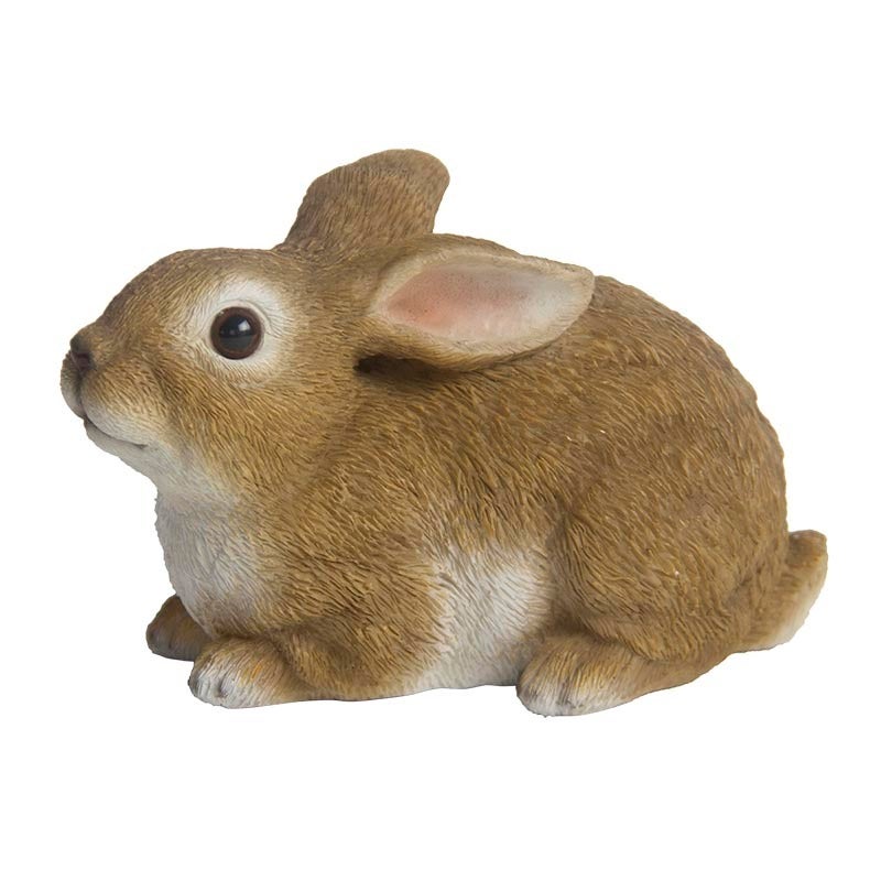 Rabbit Lying M 